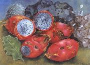 Frida Kahlo Pitahayas oil painting
